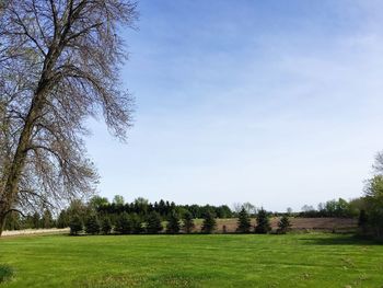 Scenic view of field against sky