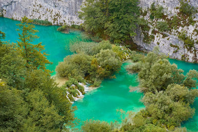 High angle view of trees by lake