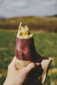 Close-up of hand holding sweet potat