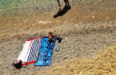 High angle view of man on sand at beach