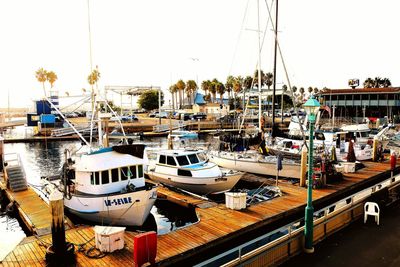 Sailboats moored at harbor against clear sky