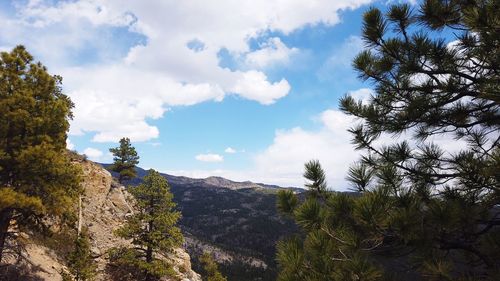 Scenic view of trees and mountains against sky