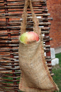 Close-up of fruit