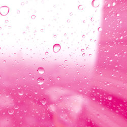 Full frame shot of water drops on pink glass