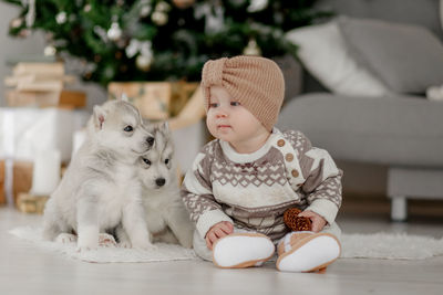 Cute baby girl sitting on floor with puppies of husky at home with christmas decorations 