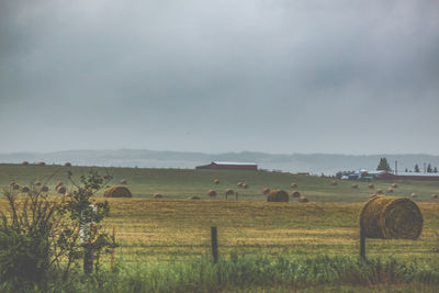 Hay bales on field against sky