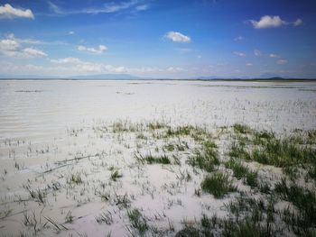 Scenic view of sea against sky during winter