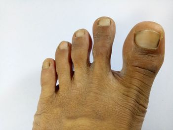 Close-up of hand against white background