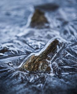 Close-up of frozen water