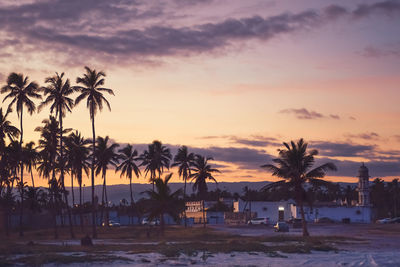 Palm trees on beach against sky at sunset