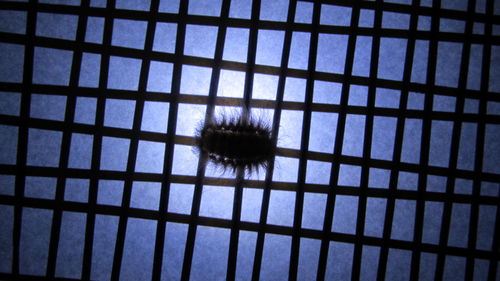 Low angle view of blue sky seen through glass