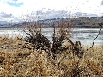 Scenic view of lake against sky