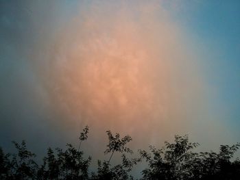 Low angle view of silhouette trees against sky