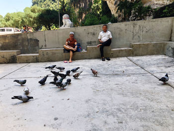 People on birds
