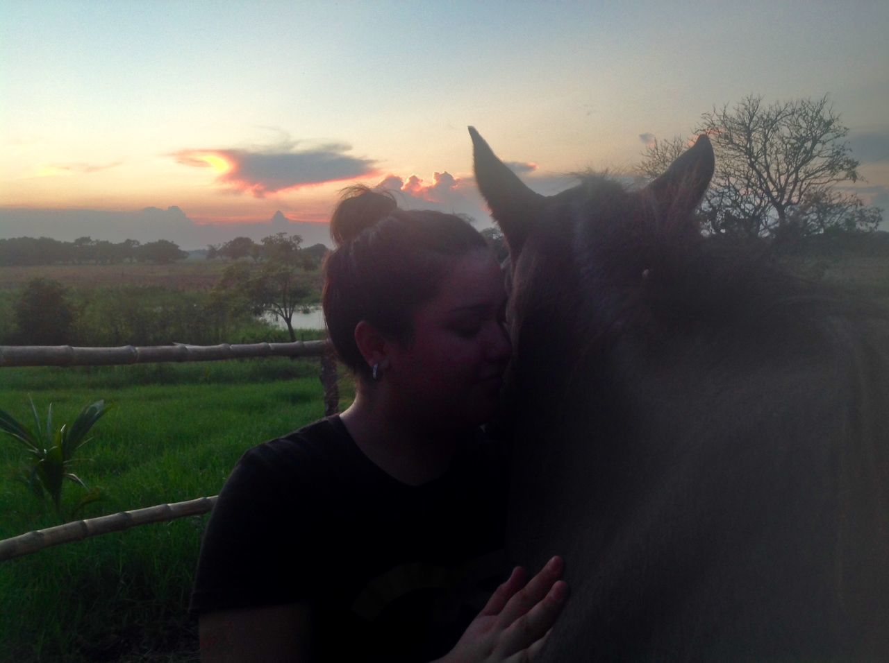 headshot, sky, sunset, close-up, head and shoulders, looking away, focus on foreground, lifestyles, field, leisure activity, side view, person, nature, contemplation, outdoors, sunlight, portrait, waist up