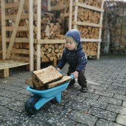 A toddler is carrying firewood on a wheelbarrow.