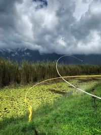 Scenic view of field against sky