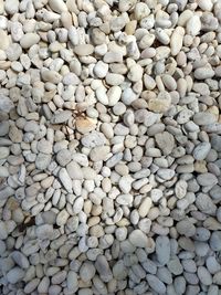 Full frame shot of pebbles