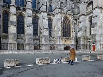 Rear view of a man with dog in the background