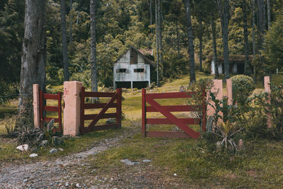 Open red gate in forest