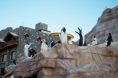 Low angle view of birds against clear sky