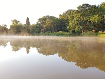 Reflection of trees in lake against sky