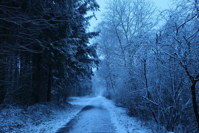 Road amidst trees in forest during winter