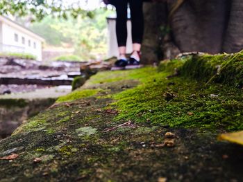 Low section of man standing on grass