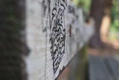 Close-up of metal fence against wall