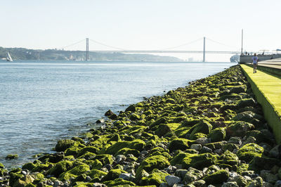 Rocks at promenade by sea against 25 de abril bridge