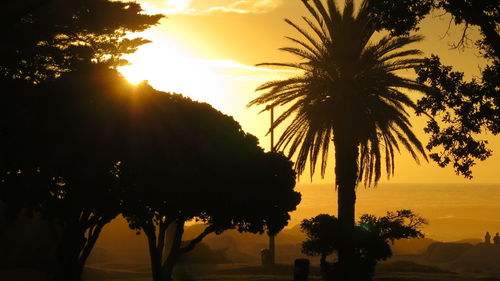 Silhouette palm trees against sky during sunset