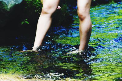 Low section of person against river in forest