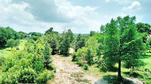 Trees on landscape against cloudy sky