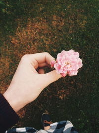 Cropped image of person holding rose