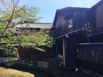 Trees and plants growing outside house against sky