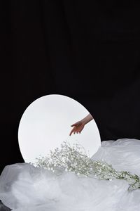 Silhouette woman holding white flowering plant against black background