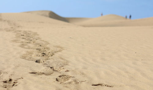 Sand dunes in desert