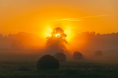 Scenic view of field against sky during sunset