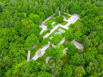 High angle view of trees