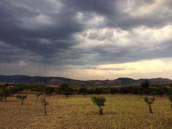 Scenic view of agricultural landscape against dramatic sky