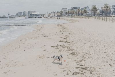 Scenic view of beach against sky in city