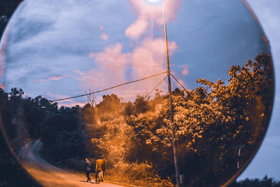 People walking by trees against sky in city