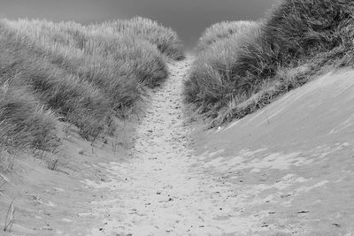 Tire tracks on sand dune