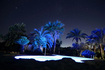 Palm trees against sky at night
