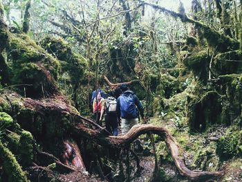 Rear view of man working in forest