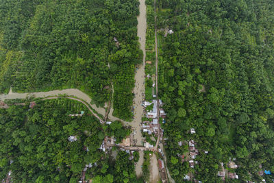 Aerial view of floating guava market in bangladesh