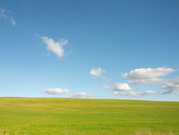 Grassland against blue sky