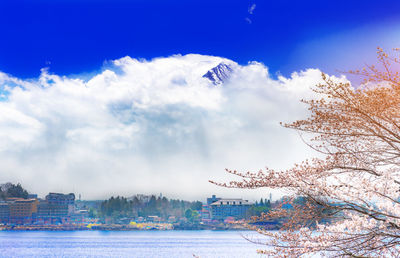 Mt fuji and cherry blossom at lake kawaguchiko