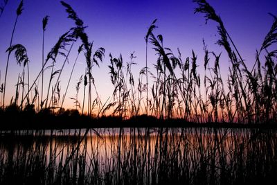 Scenic view of lake at sunset