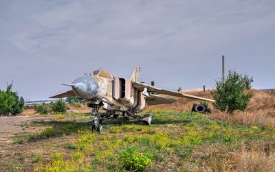 Airplane on field against sky